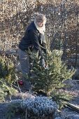 Frau zerschneidet Weihnachtsbaum und benutzt die Zweige als Winterschutz