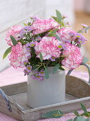 Dianthus 'Fantasy' (Nelken), Chrysanthemum Madiba 'Tanga Pink'