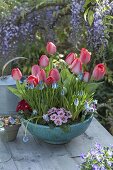 Turquoise bowl with Tulipa 'Red Paradise' (Tulips), Muscari