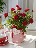Rosa chinensis (Rose) zum Muttertag in Emaille-Eimerchen