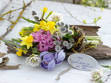 Kleiner Vorfrühlingsstrauß: Crocus (Krokussen), Hyacinthus (Hyazinthen)