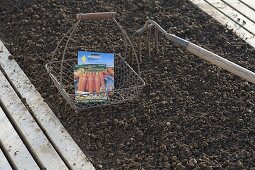 Wire basket with carrot seeds and garden chalk in the vegetable patch