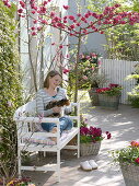 Spring terrace with flowering ornamental peach