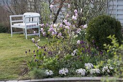 Frühlingsbeet mit Magnolie