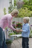 Boy gives his mother a pot of pink (roses)