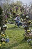 Frühlingsblüher in Töpfen an Rosenbogen gehängt