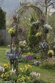Spring flowering plants in pots hung on rose arch