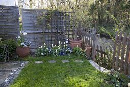 Schattiger kleiner Garten am Flüsschen, Frühlingsbeet mit Tulipa