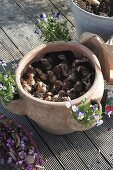 Pocket amphora with dogwood wreath and daffodils