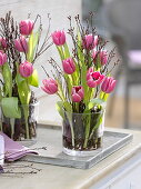 Tulipa (tulips) in glass containers with Betula (downy birch) as plugging aid