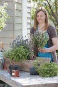 Planting a herb box