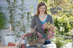 Planting a hanging basket as a hanging basket