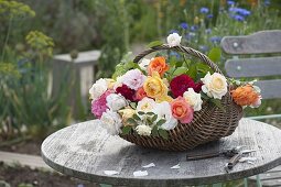 Basket with freshly cut roses on a wooden table