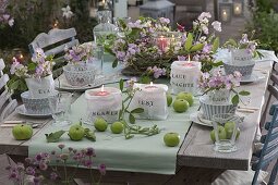 Romantic table decoration with perennial vetches