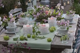 Romantic table decoration with perennial vetches