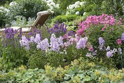 Staudenbeet mit Stachys 'Hummelo' (Ziest), Phlox maculata 'Natascha'