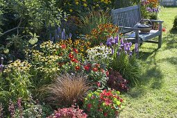 Buntes Staudenbeet: Echinacea purpurea 'Sunset', 'Avalanche' (Sonnenhut)