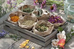 Dried herbs for tea or wellness in paper bags