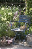 Scented seating area in a small garden