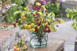 Bouquet from Malus 'Golden Hornet' 'Paul Hauber'