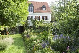 Colourful garden with summer flowers, roses and perennials