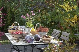 Terrasse mit Ernte-Tisch
