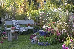 Farm garden with cosmos (ornamental basket), penstemon