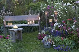 Farm garden with cosmos (ornamental basket), penstemon