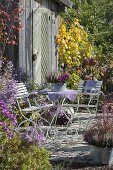 Kleine Herbstterrasse neben Staudenbeet am Gerätehaus