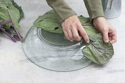 Make your own cabbage leaf bowl from quick screed