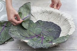 Make your own cabbage leaf bowl from quick-set screed