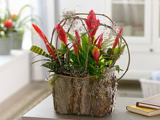 Plastic box with bark glued on as planter box