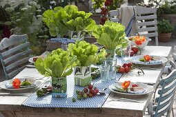 Salat in leeren Milchtueten ziehen