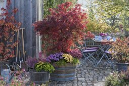 Wooden barrels planted in autumn