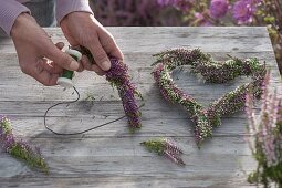 Pink and white heart of heather