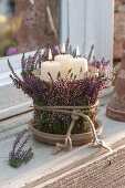 Lantern with broom heather buds blooming flowers at the window