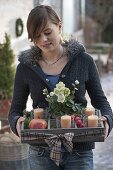 Woman brings wooden box as Advent wreath with 4 candles, pot with Helleborus niger