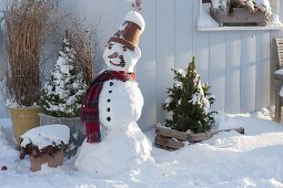 Snowman with clay pot as hat, scarf, cabbage stump as pipe, carrot as nose