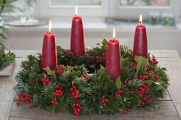 Mixed Advent wreath of Nordmann fir and holly