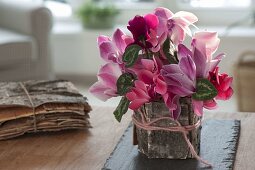 Bouquet of cyclamen (cyclamen violet) in vase, with bark of betula