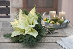 Weisser Weihnachtsstrauss aus Euphorbia pulcherrima (Weihnachtsstern)
