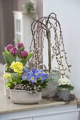Spring flowers and willow stems