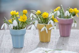 Kleine Sträuße in Puppengeschirr: Galanthus (Schneeglöckchen)