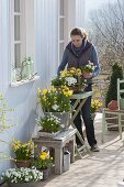 Weiß-gelbe Frühling-Terrasse