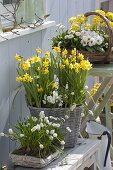 White-yellow spring terrace