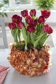 Onion bowls, planter for onion flowers in enamel bowl