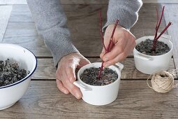 Birdseed in various hanging containers