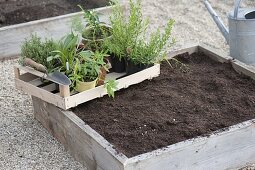 Quadratbeete, Square Garden auf Betonpflaster bauen