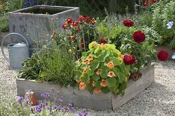 Building square flowerbeds on concrete paving