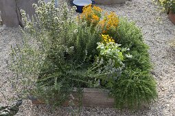 Building Square Garden beds on concrete pavers